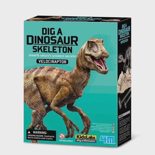 EXCAVATION SQUELETTE DINO VELOCIRAPTOR
