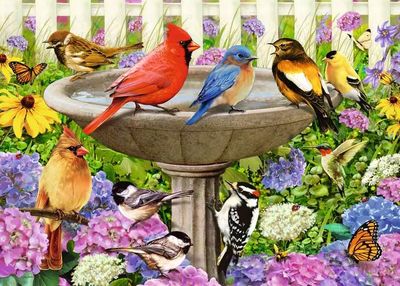 Casse-tête 500 pièces XL Ravensburger - Oiseaux à l'abreuvoir