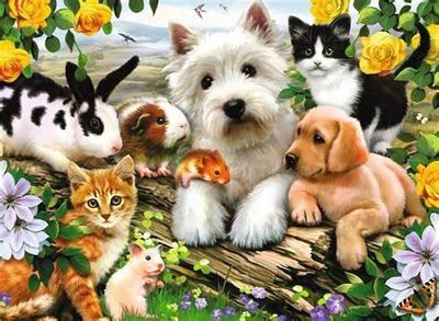 CASSE-TÊTE 300 PIÈCES RAVENSBURGER - AMIS ANIMAUX