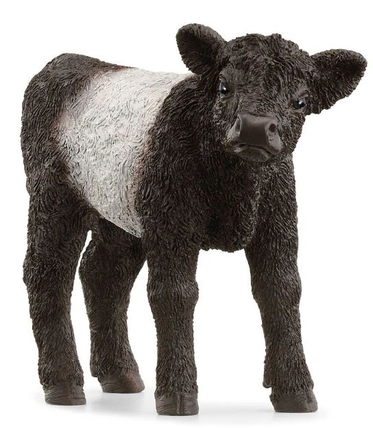 Schleich 13969 - Veau galloway
