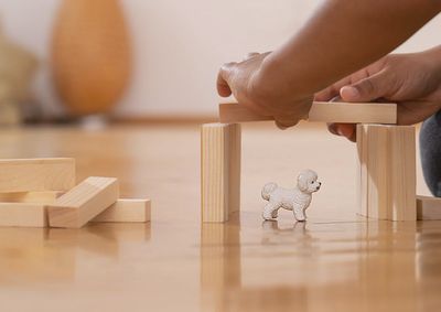 SCHLEICH 13963 - BICHON FRISÉ