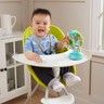 VTech - La grande roue des Baby loulous