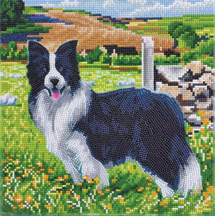 Broderie de diamant Crystal Art - Chiot dans le champs