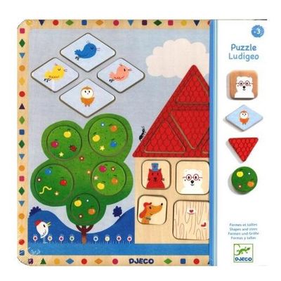 CASSE-TÊTE 19 PIÈCES EN BOIS LUDIGEO - FORMES ET TAILLES