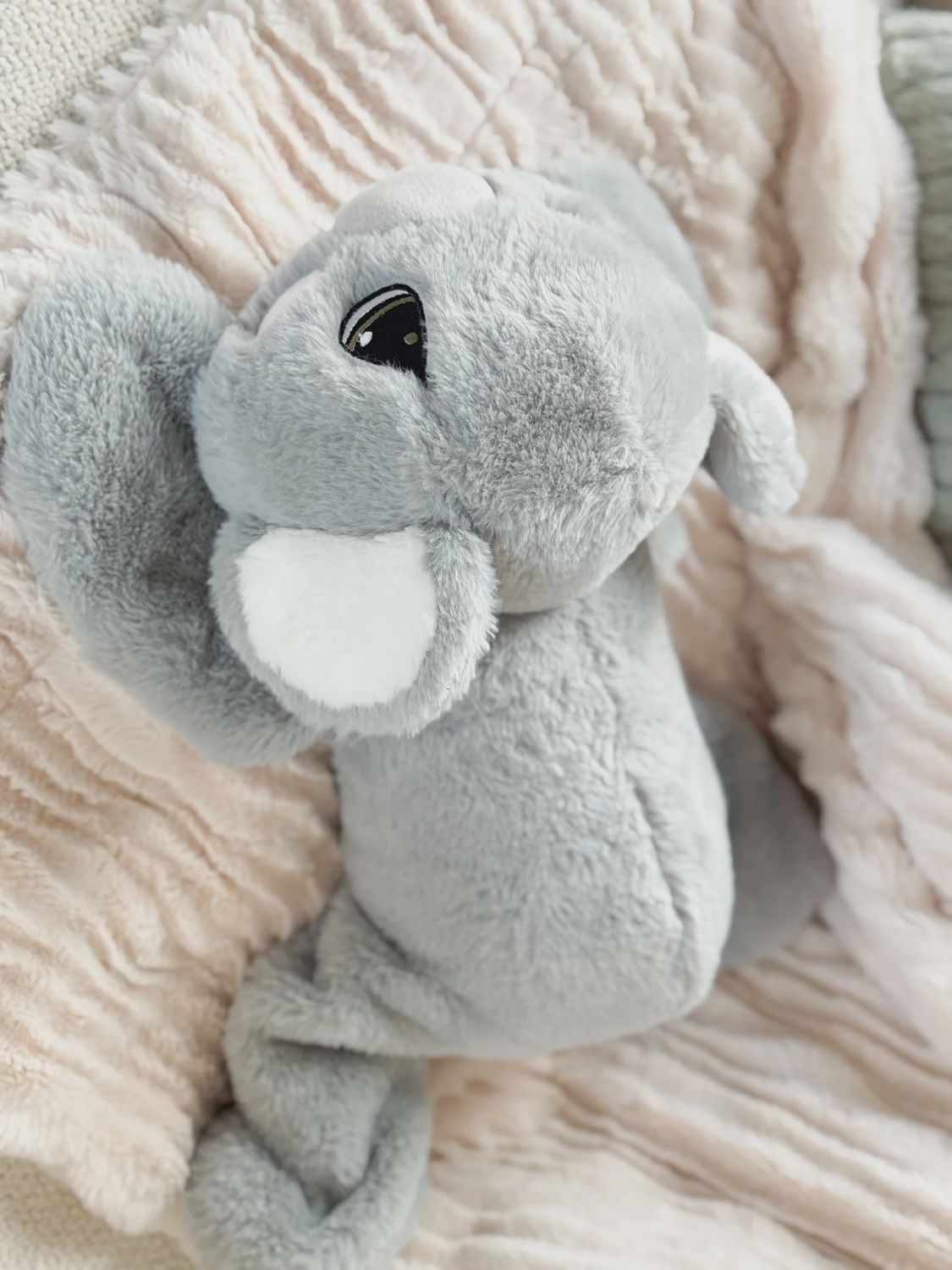 TOUTOU LOURD 2 KG - KIKI LE KOALA