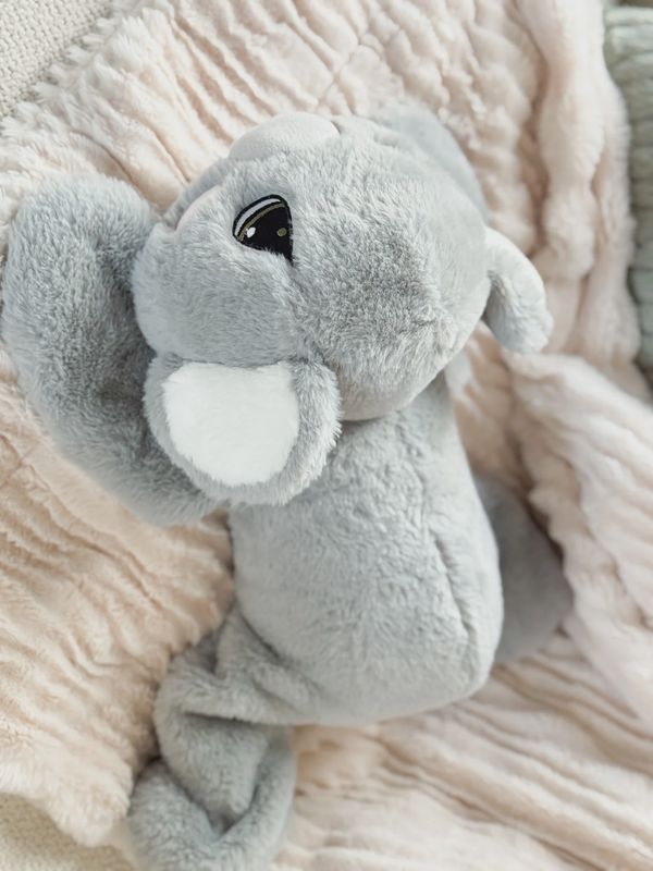 TOUTOU LOURD 2 KG - KIKI LE KOALA