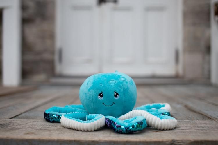 Toutou lourd 1.5KG - Pieuvre Octablue