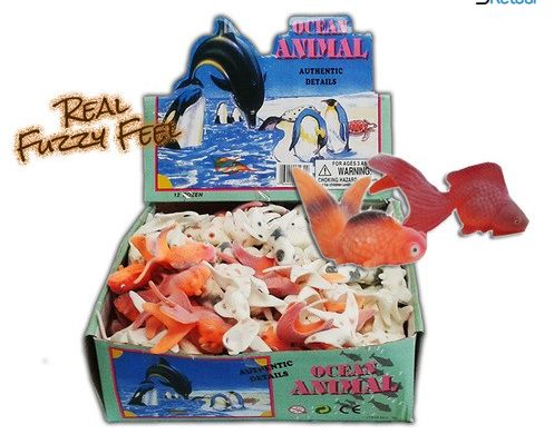 Goldfish 3 pouces