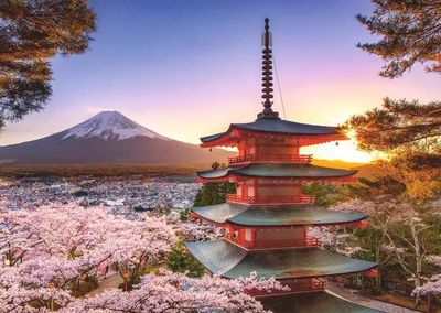 Casse-tête 1000 pièces Ravensburger - Vue sur les cerisiers en fleurs du mont Fuji