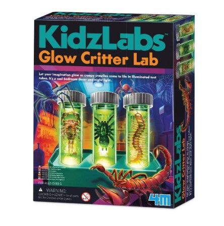 Kidzlabs - Créatures luminescentes