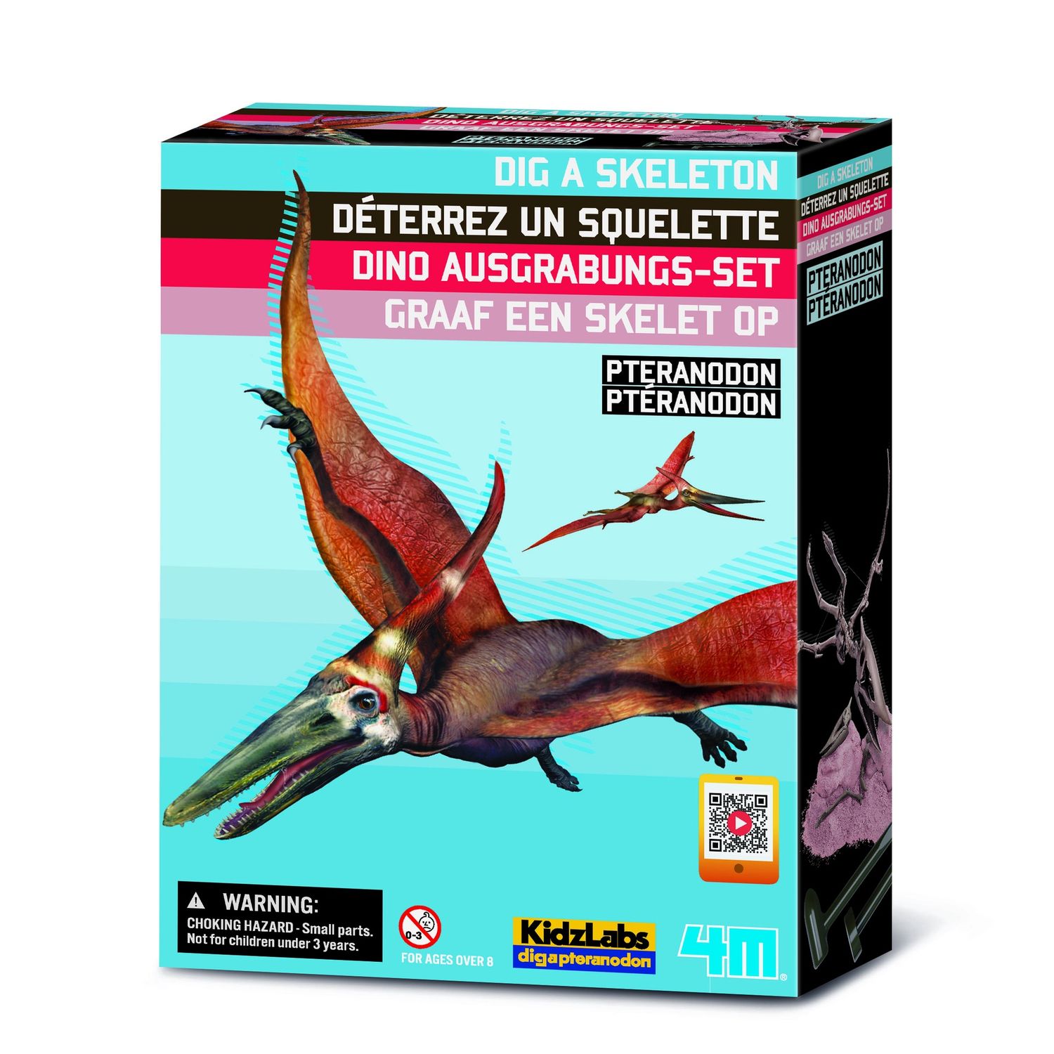 SQUELETTE DE DINOSAURE - PTERANODON