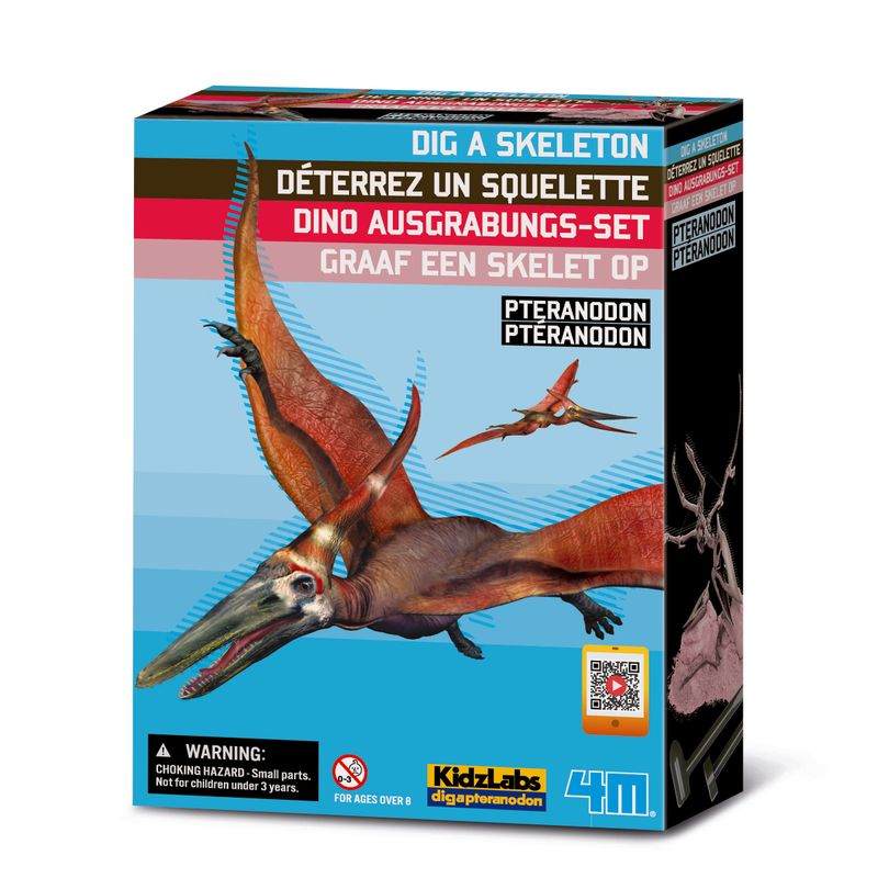 Squelette de dinosaure - Pteranodon