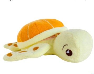 Soapsox tortue