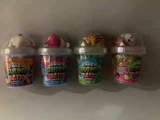 ENSEMBLE DE SLIME CRAZY AVEC UN AMI