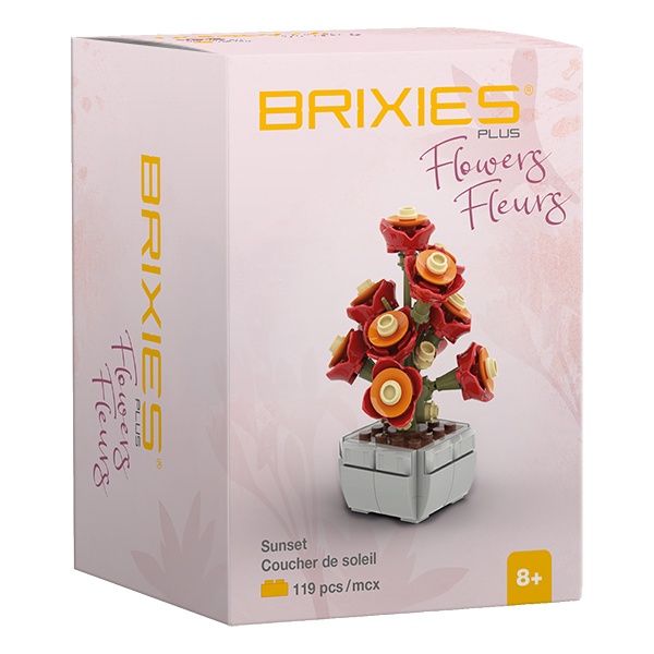 Brixies - Mini bouquet coucher de soleil