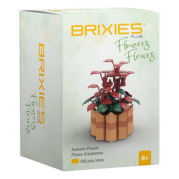 Brixies - Mini bouquet fleur d'automne