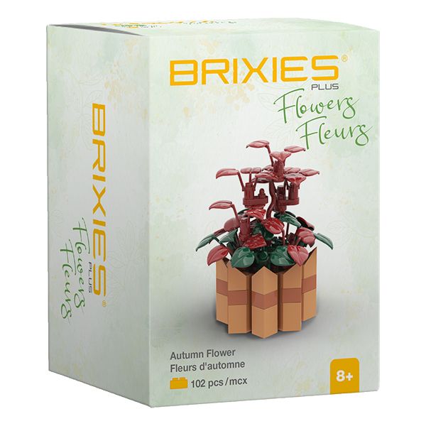 Brixies - Mini bouquet fleur d'automne