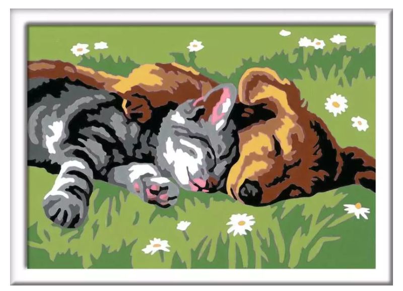 CREART - CHAT ET CHIEN ENDORMIS