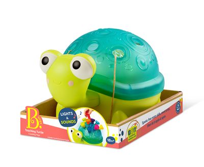 TORTUE AVEC CHEVILLES BATTAT