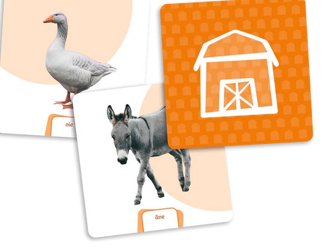 Placote - Carte supplémentaire le dé des premiers mots animaux (Vocabulaire de noms)