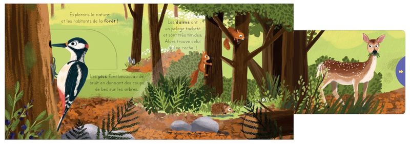 Livre - Les petits explorateurs:  La Forêt