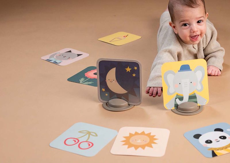 Taf Toys - Mes premières cartes découvertes