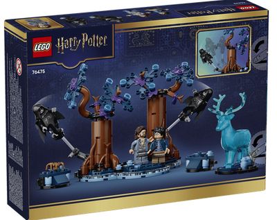 Lego Harry Potter 76475 - La Forêt interdite : Expecto Patronum