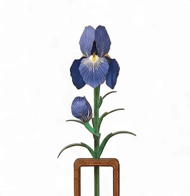 DIY Flora series - Iris bleu