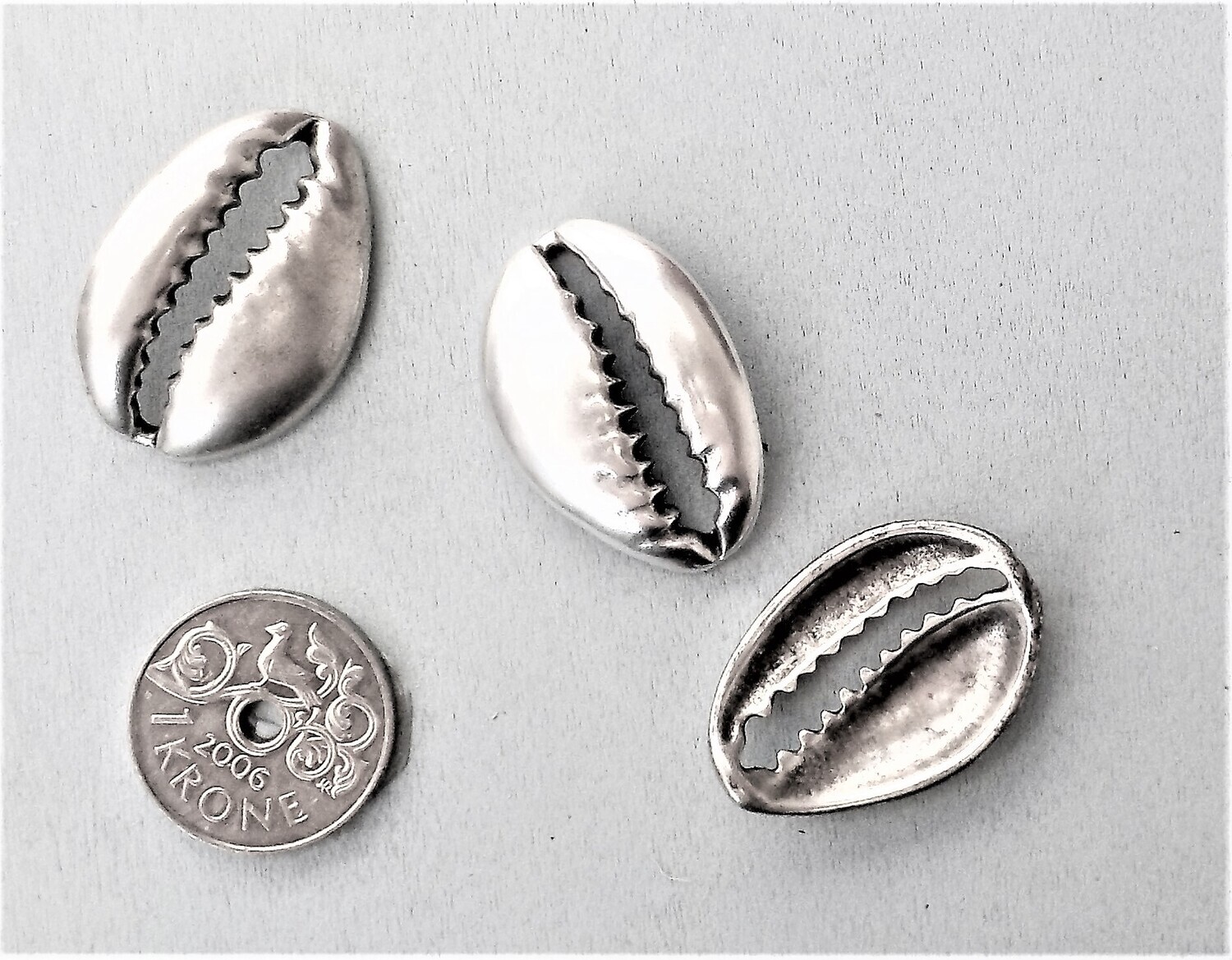 Sea shell