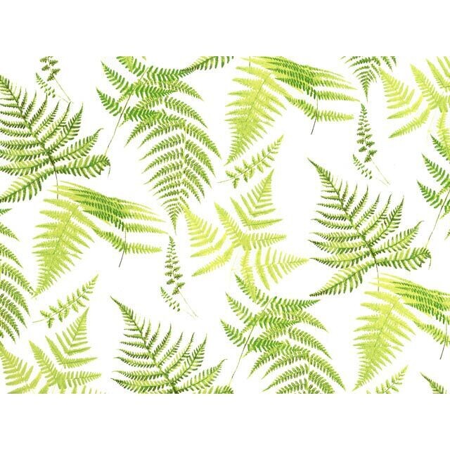 Fern decals