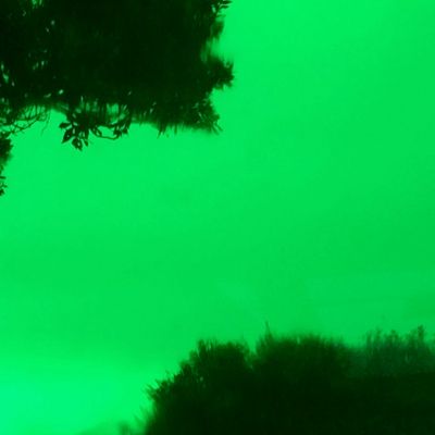 Desag-Artista Antique Dark Green