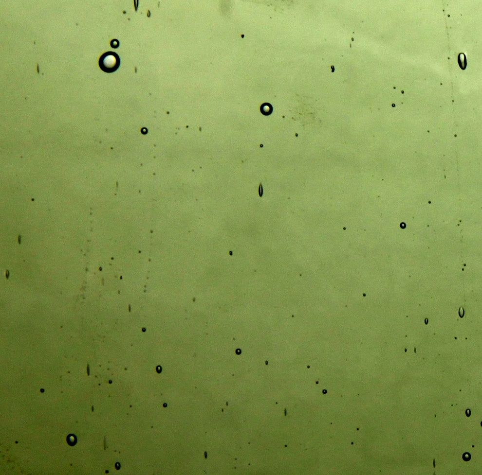 Light Sage Green Transparent