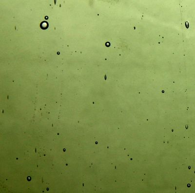 Light Sage Green Transparent
