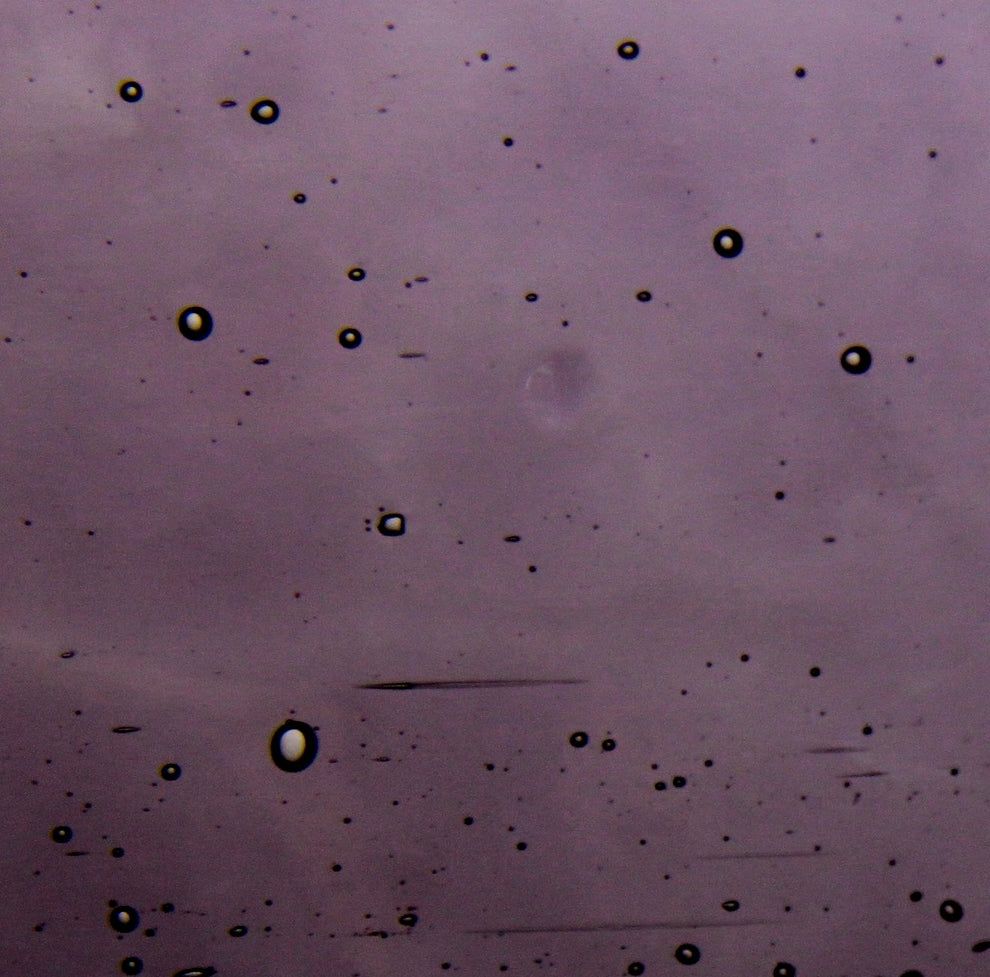 Purple Transparent