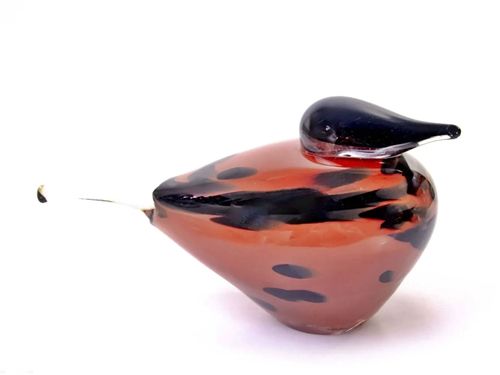 Red & Black bird Red & Black bird