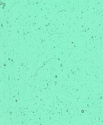 Kokomo "Honeydew" Light Blue Green Transparent