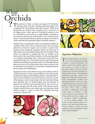 Orchids In Glass