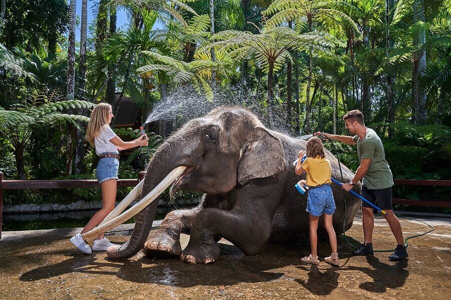 Mason Elephant Park &amp; Lodge (10% OFF + FREE TRANSFER)