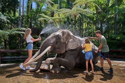 Mason Elephant Park & Lodge (10% OFF + FREE TRANSFER)