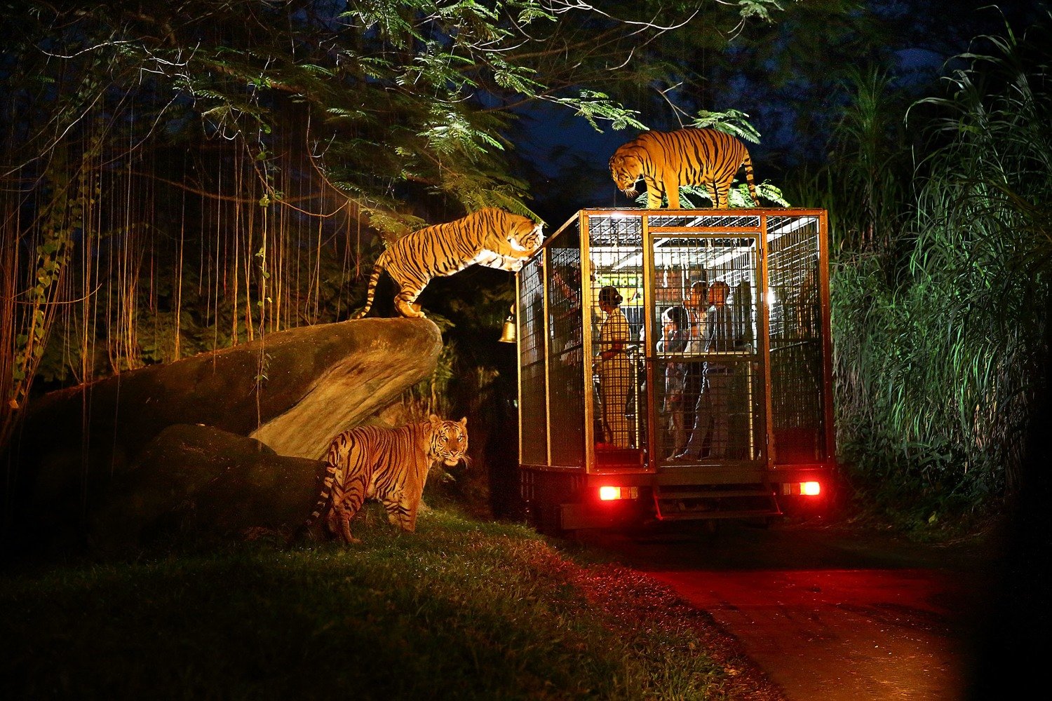 Bali Safari &amp; Marine Park (10% OFF for Kumpul Kumpul Villa guest only)