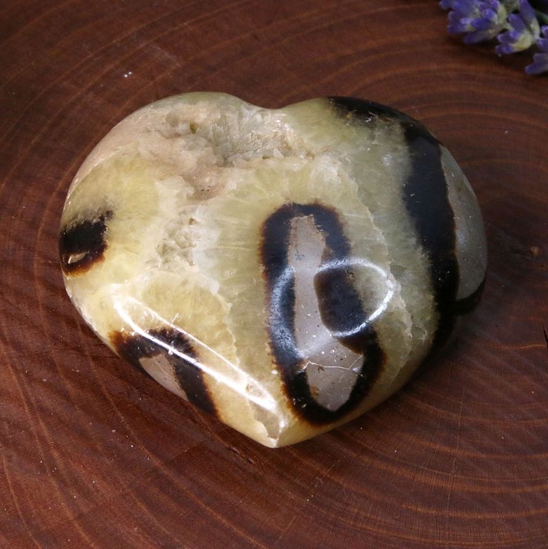Septaria cœur