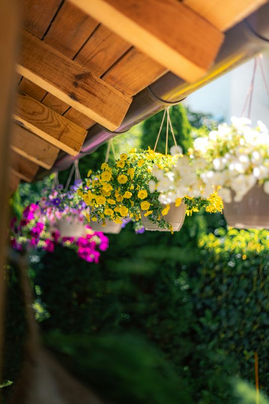 Wooden garden structure with outdoor decor elements