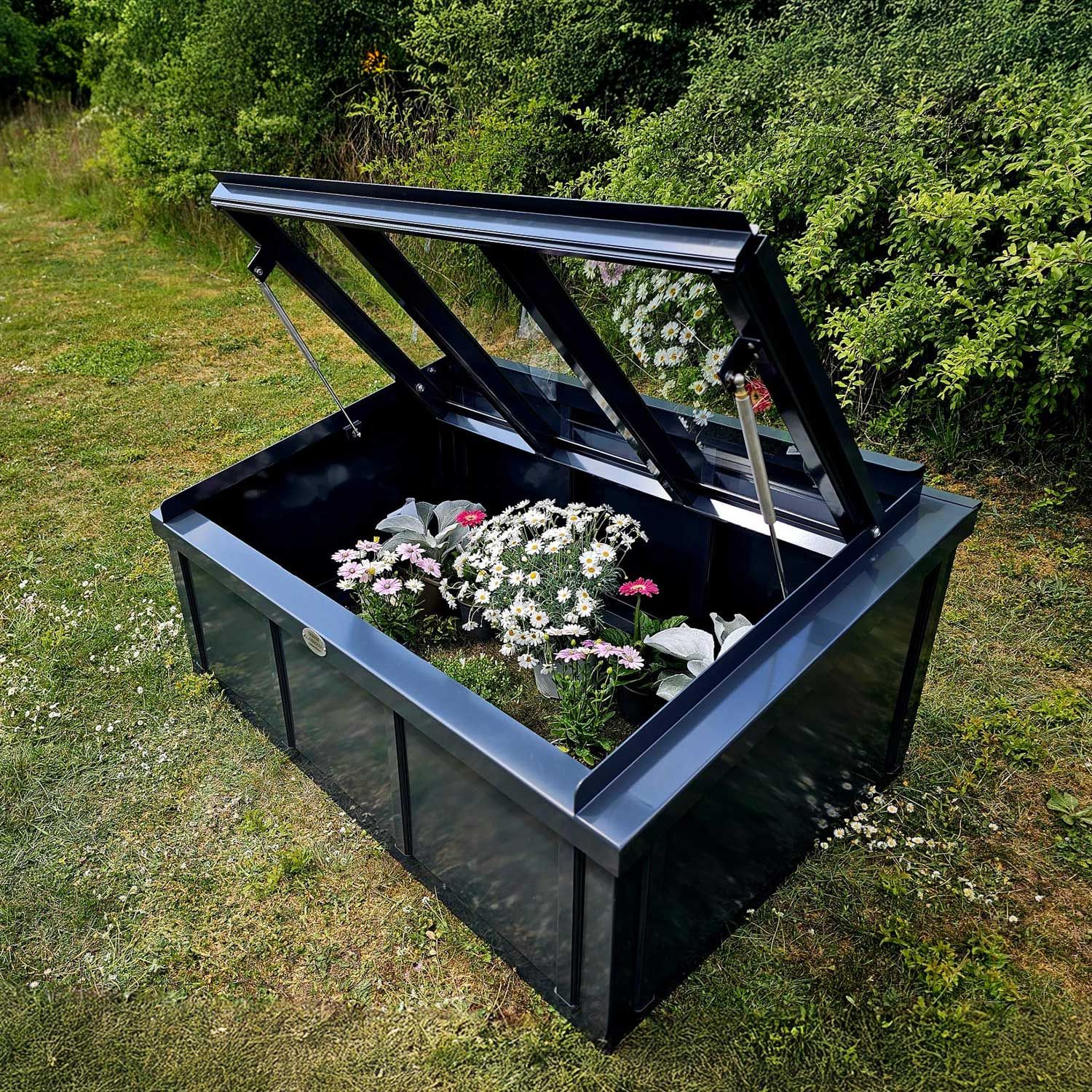 Low Coldframe 4.5ft x 3ft