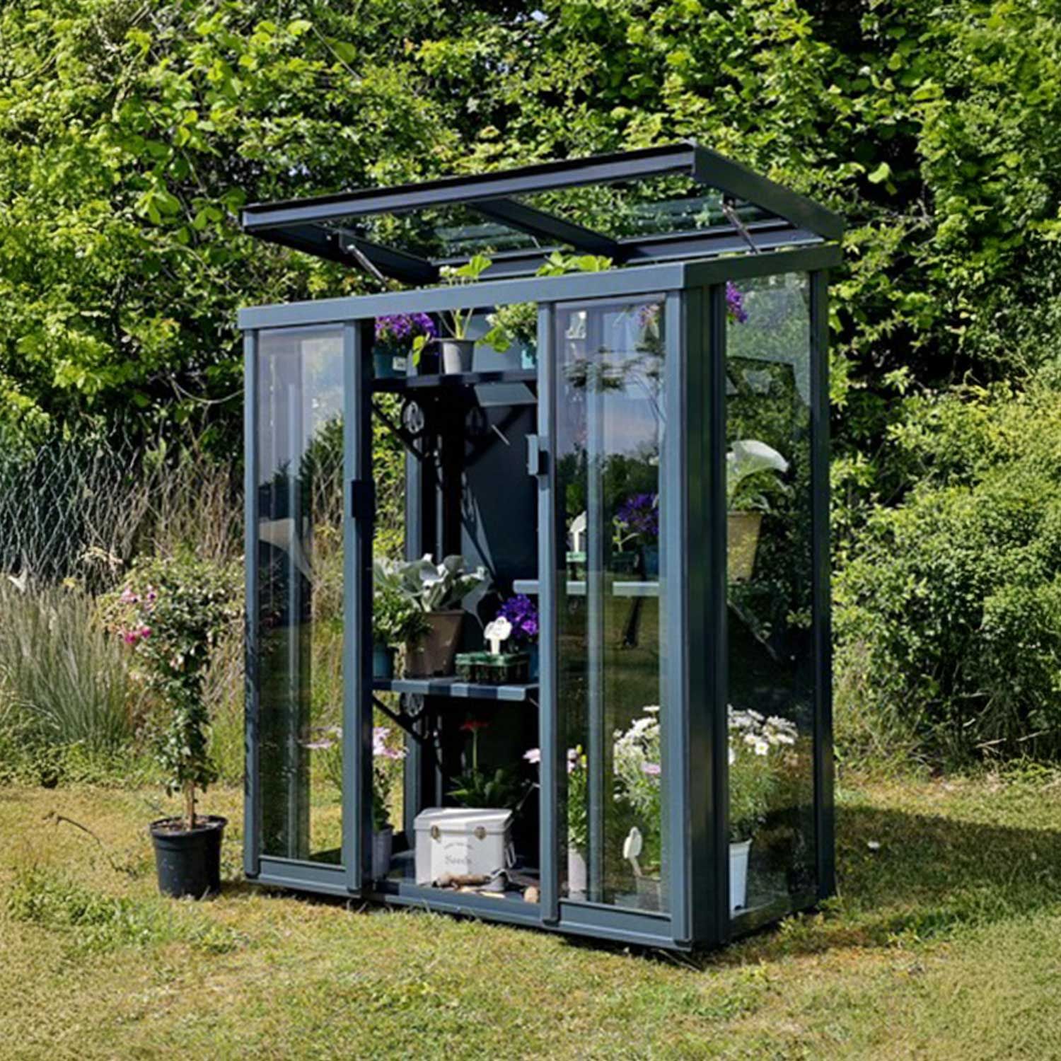 Tall Coldframe