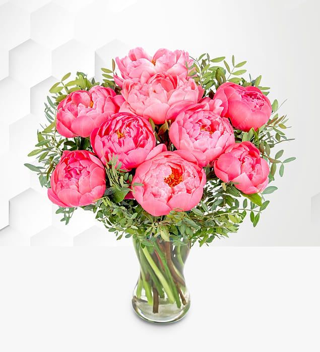 Peony Blush