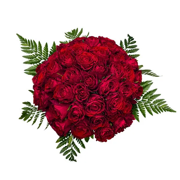 50 Red Rose Bouquet