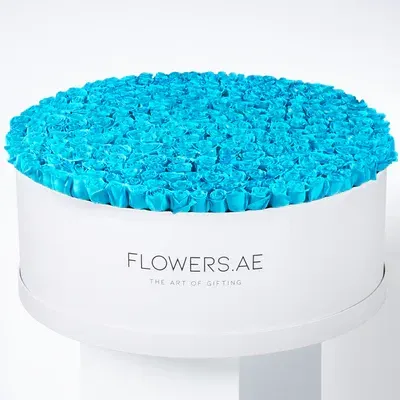 500 Tiffany Blue Roses XXXL