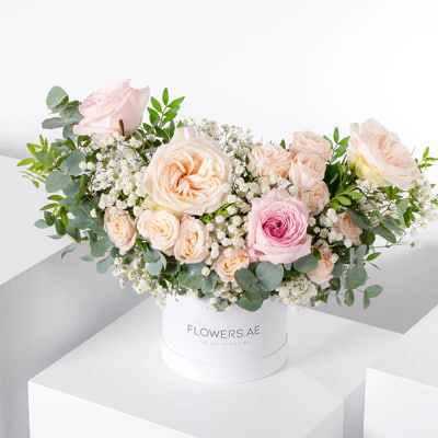 Petite Adelle Hatbox