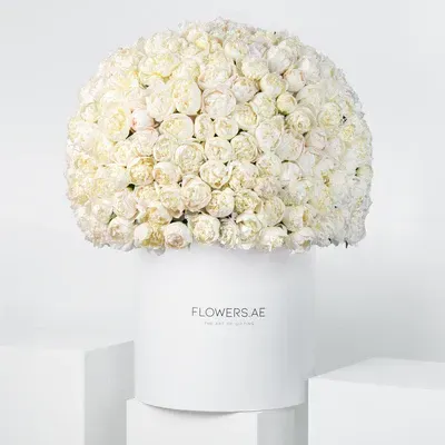 Royale White Peony Hatbox