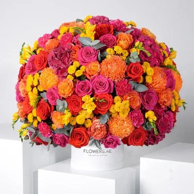 Summer Haze Hatbox
